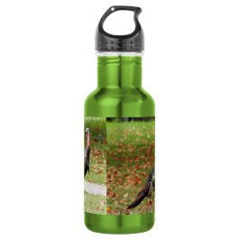 Garrafa Kevin The Turkey - Old Wethersfield , CT (2 fotos)