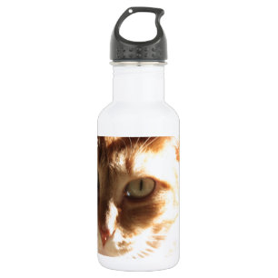 Garrafa Kute Gatinho!