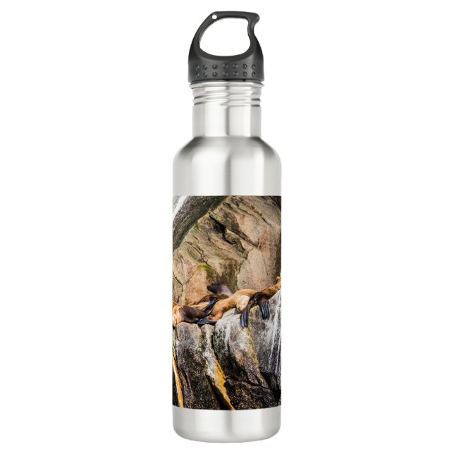 Garrafa Leões Do Mar Deitados Nas Rochas (Frente)