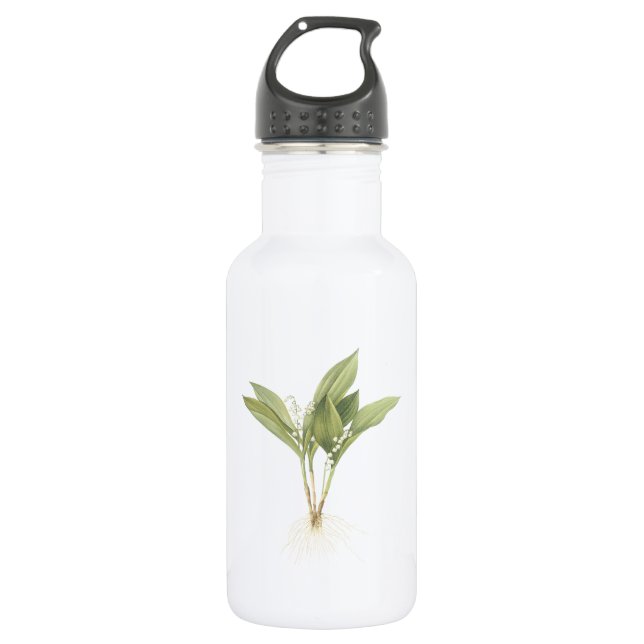 Garrafa Lily-of-the-valley (Convallaria majalis) apresenta (Frente)