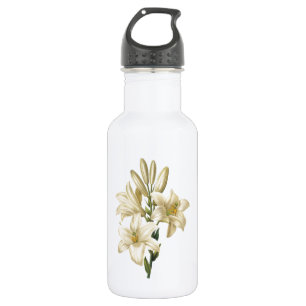 Garrafa lírio branco (Lilium candidum) por Redouté