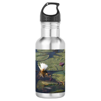 Garrafa Lírio de Água em flor