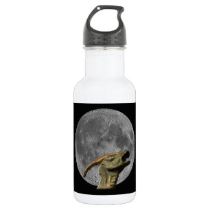 Garrafa Lua e Charonossauro