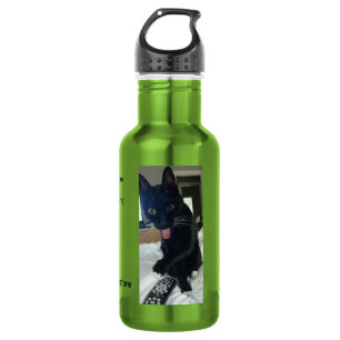 Garrafa maçã de água para gatos remotos engraçada