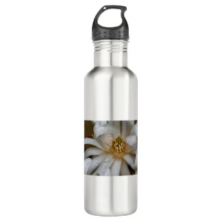 Garrafa Magnolia étoilé