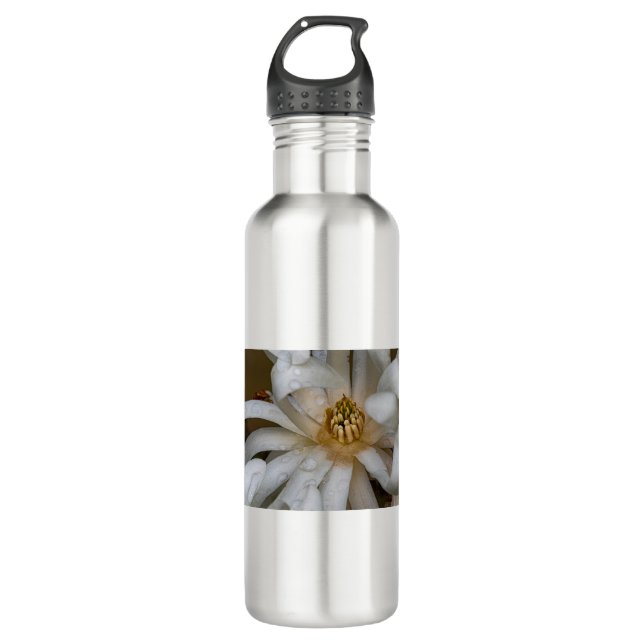 Garrafa Magnolia étoilé (Frente)