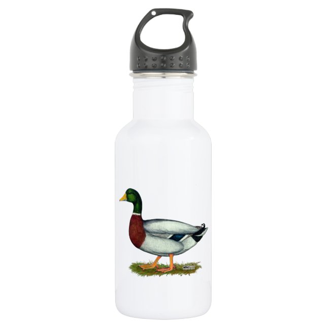 Garrafa Mallard Duck Drake (Frente)