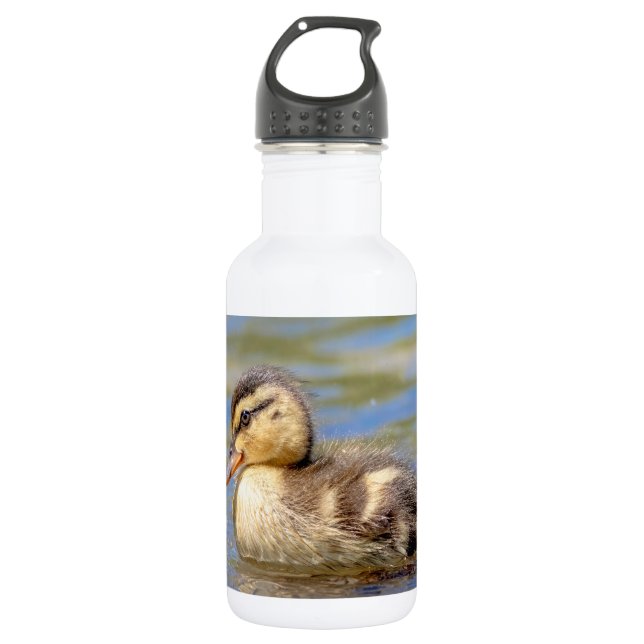 Garrafa Mallard Duckling (Frente)