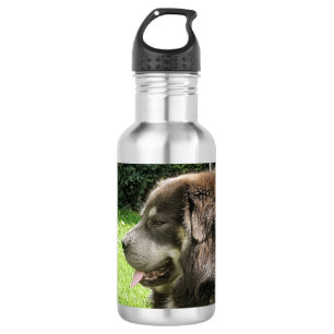 Garrafa mastim tibetano.png