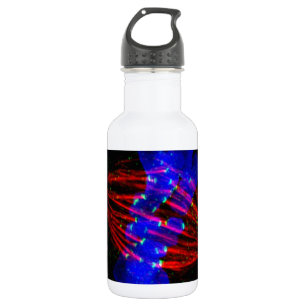 Garrafa Metafase de Mitotic