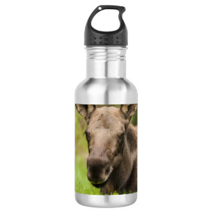 Garrafa Moose Curiosa