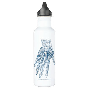 Garrafa Músculos da arte da anatomia do vintage do azul da