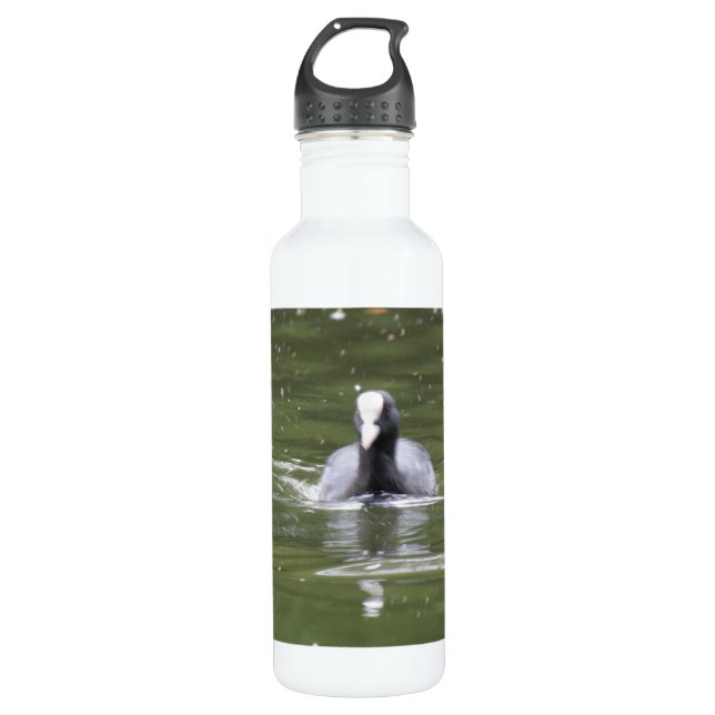 Garrafa Nadadora (Frente)