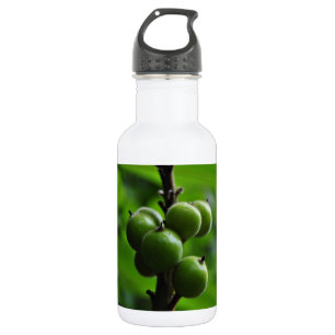 Garrafa Natureza verde fresca