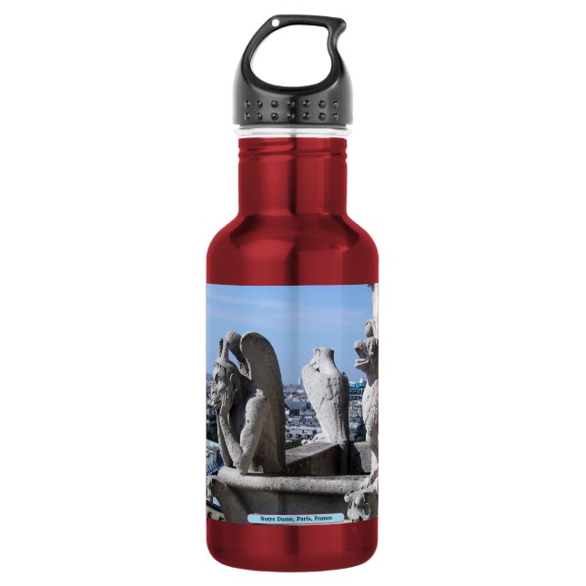 Garrafa Notre Dame, Paris, França (Frente)