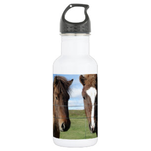 Garrafa O cavalo islandês - um amigo real