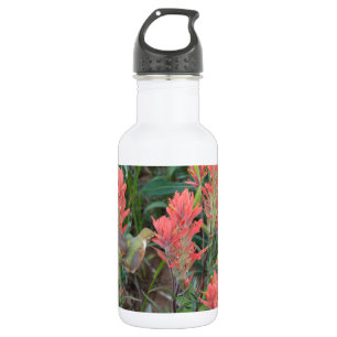 Garrafa O rubi no vermelho floresce o colibri