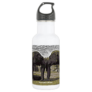 Garrafa Olhos de Elefante