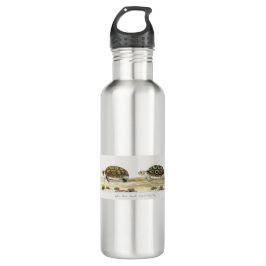 Garrafa Padloper Tortoise