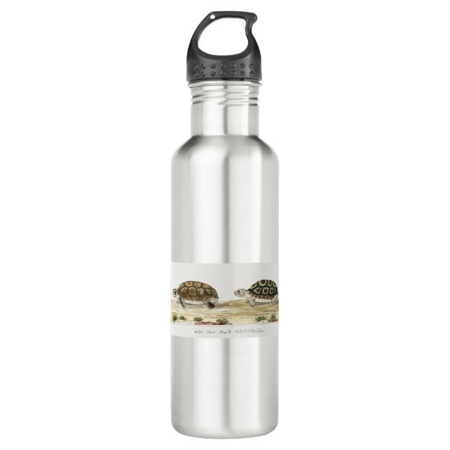 Garrafa Padloper Tortoise (Frente)