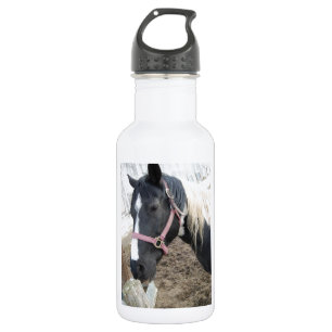 Garrafa Paint Pinto Horse