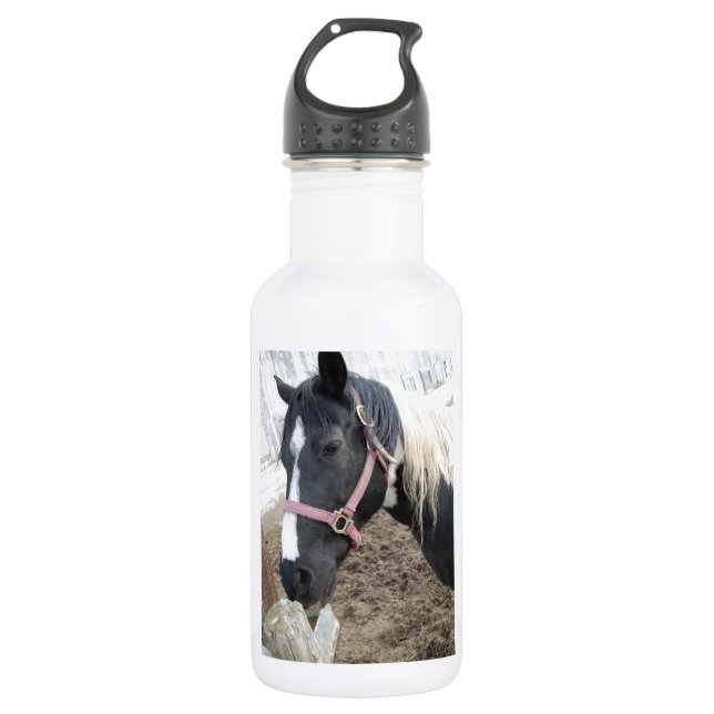Garrafa Paint Pinto Horse (Frente)