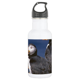 Garrafa Papagaio-do-mar-tastic