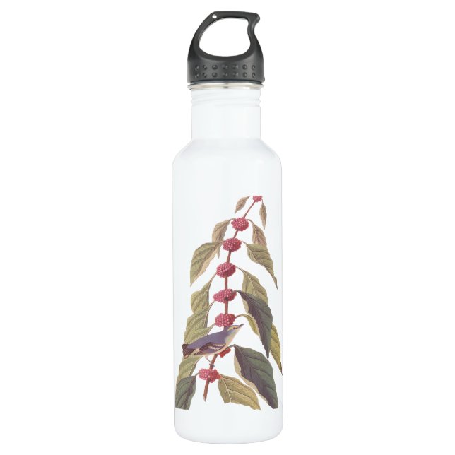 Garrafa Pássaro Canino Verde Azul de Audubon (Frente)