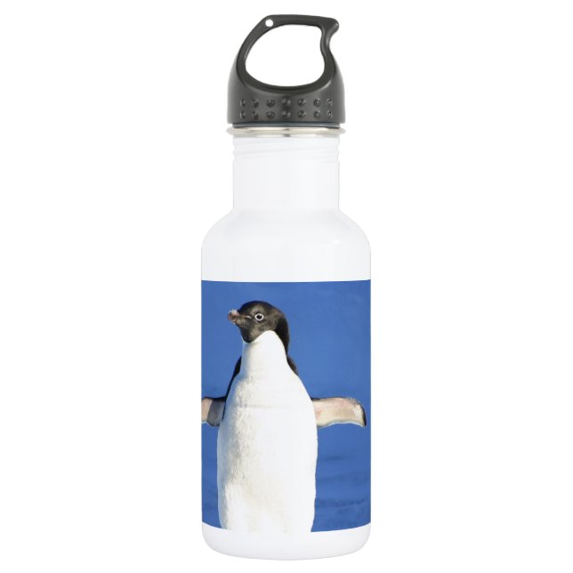Garrafa Pena de Pássaro Pinguim Preto Branco Nome Personal (Frente)
