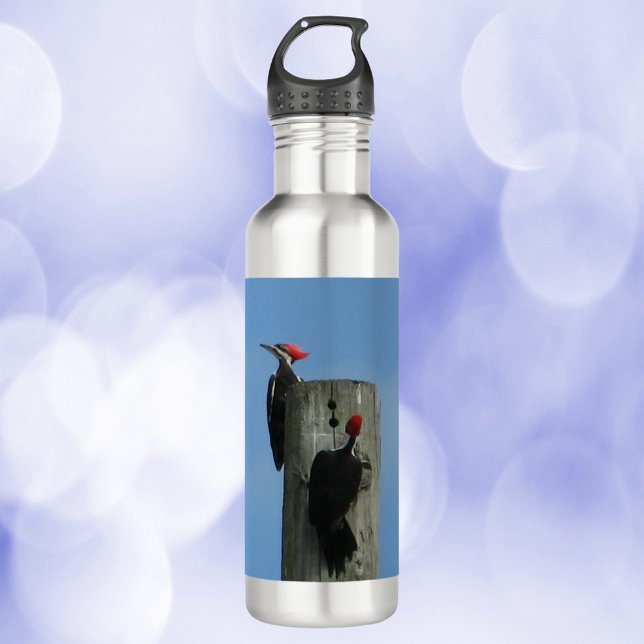 Garrafa Pica-pau em um Polo (A water bottle with a photo of two woodpeckers on a pole)