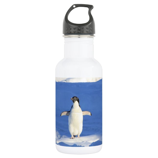 Garrafa Pinguim engraçado na foto do gelo (Frente)