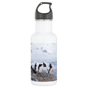 Garrafa Pinguins na Antártica