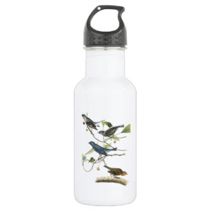 Garrafa Pintassilgo Índigo por Audubon