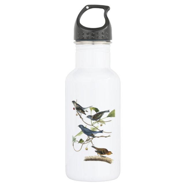 Garrafa Pintassilgo Índigo por Audubon (Frente)