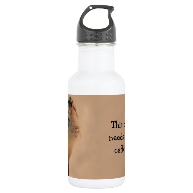 Garrafa Pintinho feio (Frente)