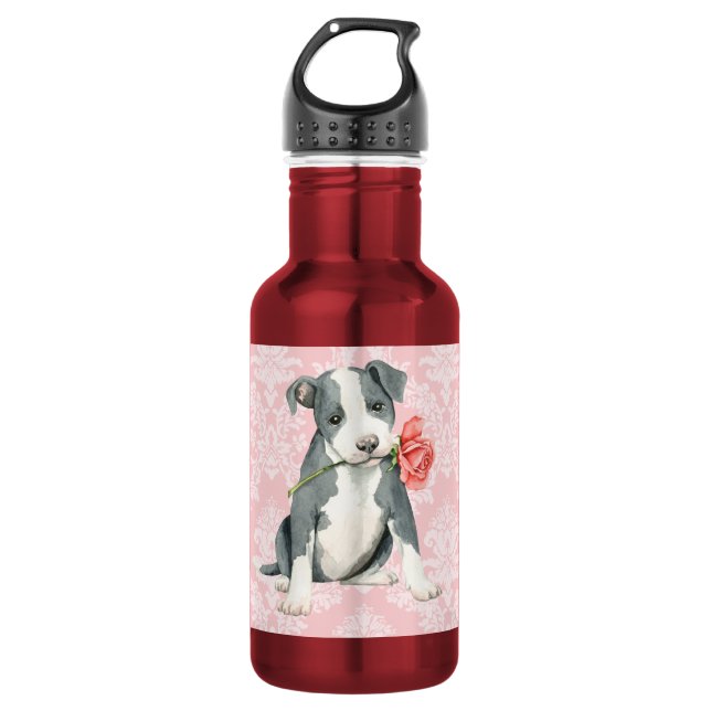 Garrafa Pitbull cor-de-rosa dos namorados (Frente)