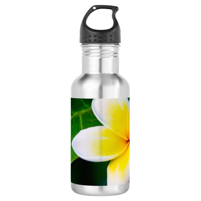 Garrafa plumeria (Frente)