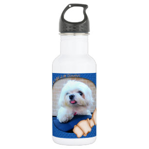 Garrafa Quanto É Esse Cachorro Na Janela?
