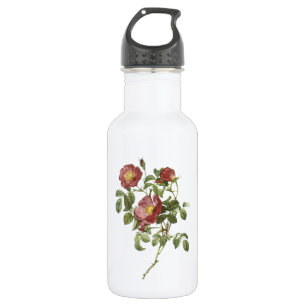 Garrafa rosa de amor (Rosa bomila) por Redouté