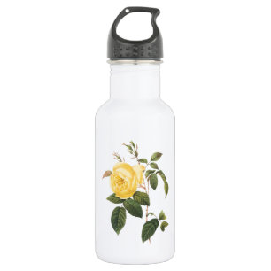 Garrafa rosa de chá (Rosa indica) por Redouté