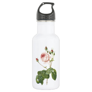 Garrafa rosa de repolho excelente por Redouté