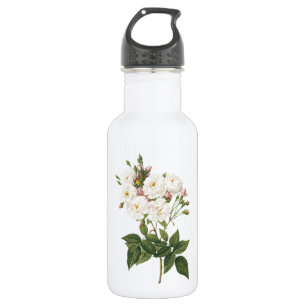 Garrafa rosa (Rosa noisettiana), por Redouté,