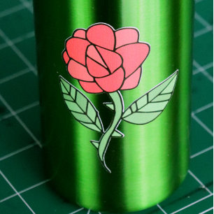 Garrafa Rosa vermelha