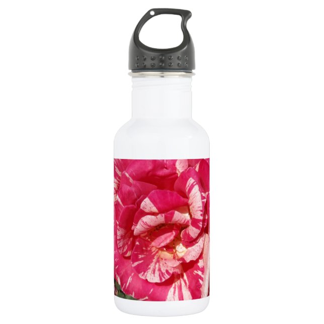 Garrafa Rosa Vermelha e Creme (Frente)