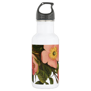 Garrafa Rosas Vintage Lindas Botânica Rosa