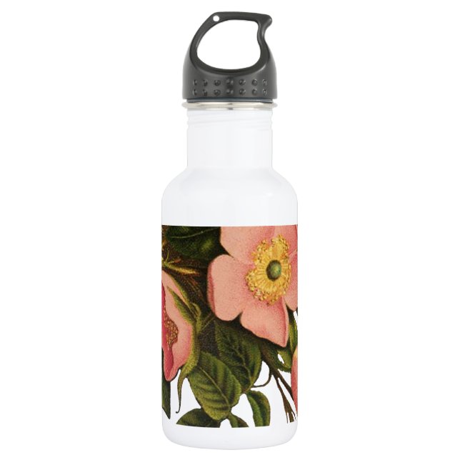 Garrafa Rosas Vintage Lindas Botânica Rosa (Frente)