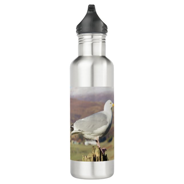 Garrafa Seagull no Posto de cerca (Direita)