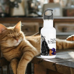 Garrafa Sem Comprimido Remorso Gato Engraçado<br><div class="desc">Silver Tabby quebrou um vaso e não tem remorso sobre ele.</div>