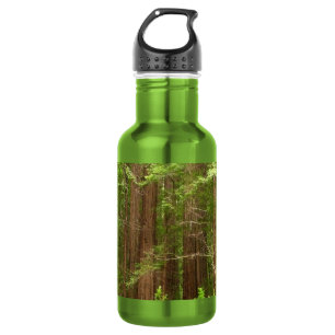 Garrafa Sequoias Vermelhas no Monumento Nacional de Muir W