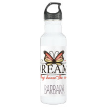 Siga sua borboleta de sonhos